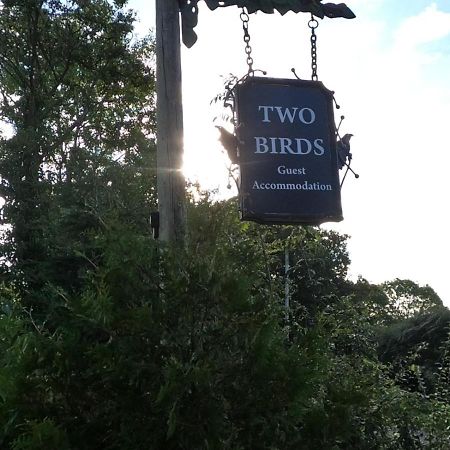 Two Birds Weekly Stay 马姆斯伯里 外观 照片